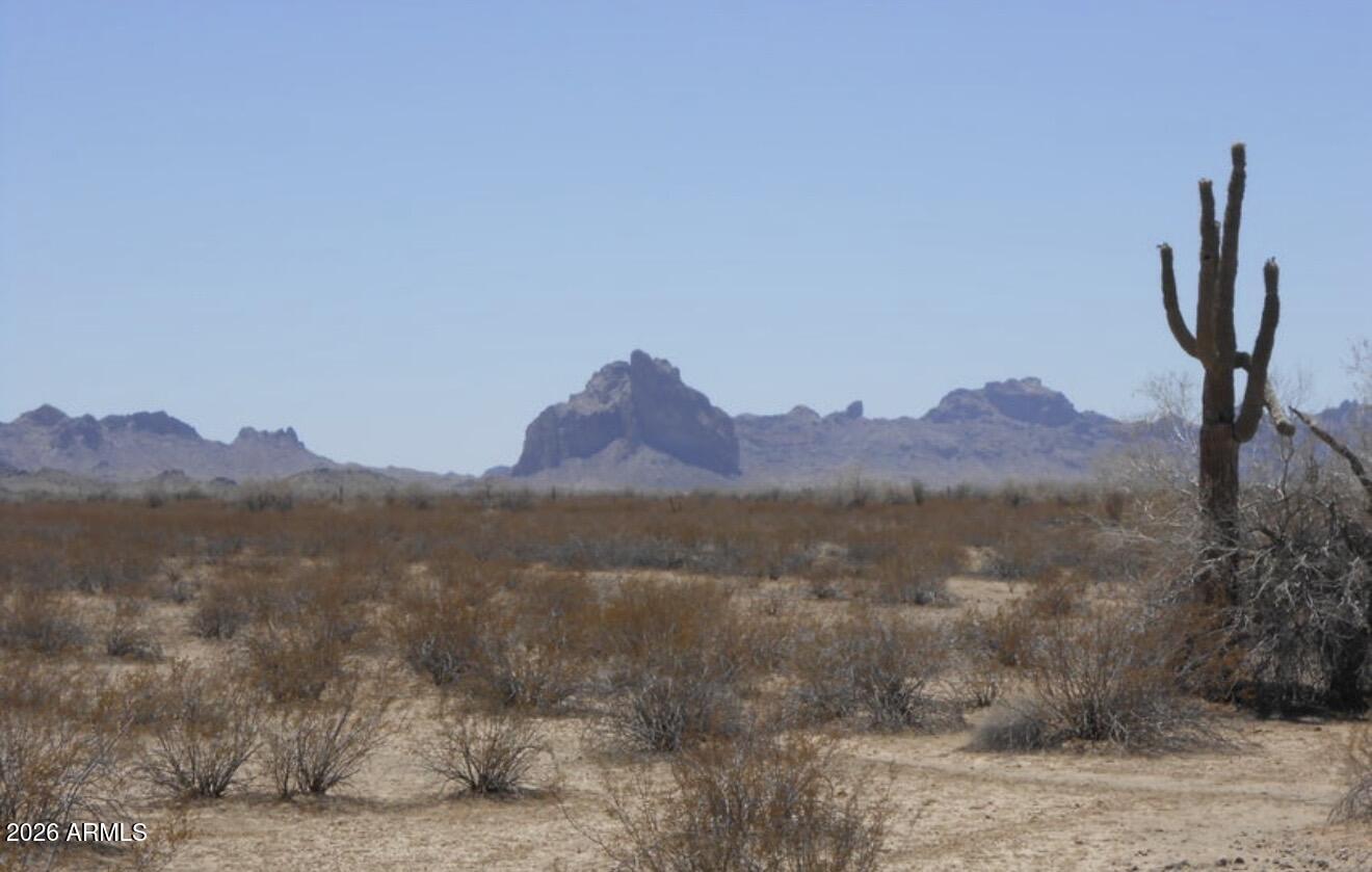 Land in Tonopah 4