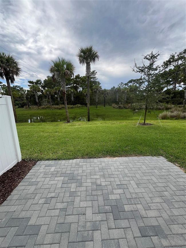 Your beautiful serene view in the back is a natural preserve | Image 19