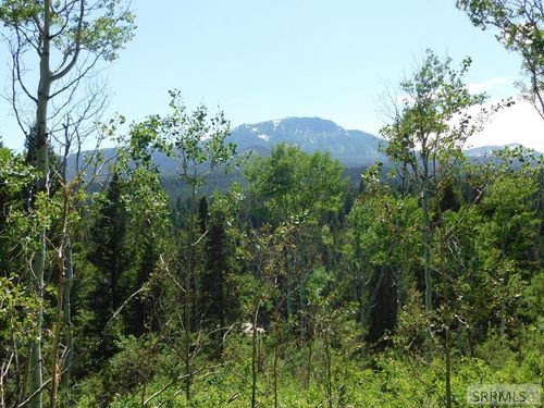 4907 Shadow Wood Ln, Island Park, ID, 83429 | Card Image