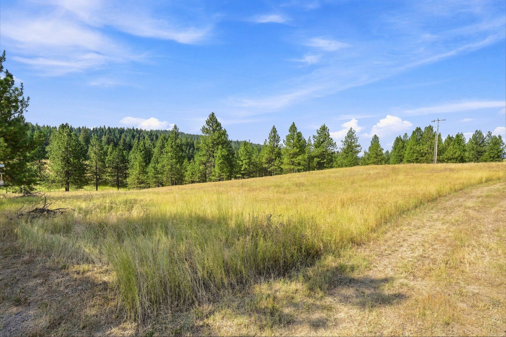 Land in Chattaroy 4