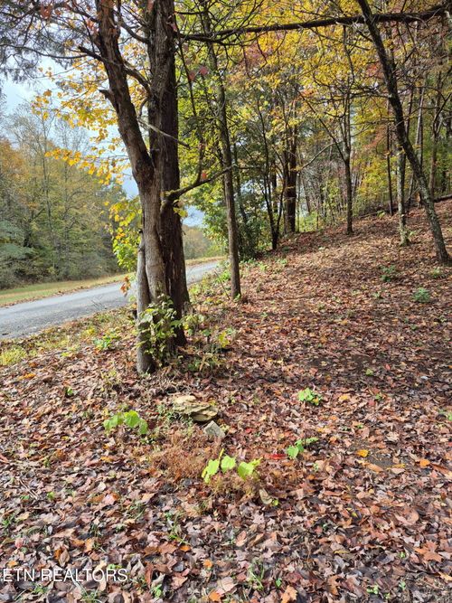 265 Jd Farm Rd, Tellico Plains, TN, 37385-4966 | Card Image