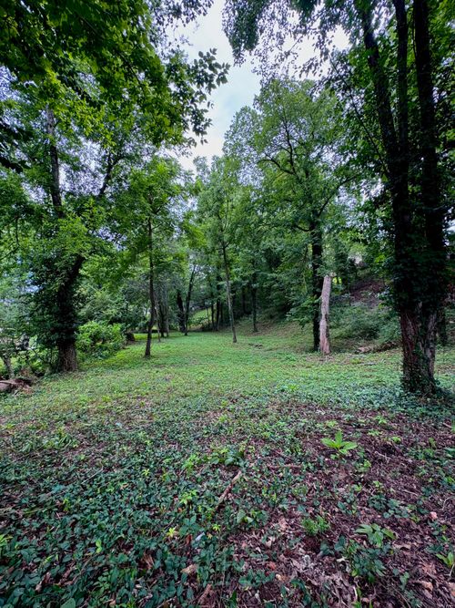 6733 Moss Lake Dr, Hixson, TN, 37343-3473 | Card Image