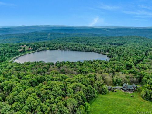 LOT 10 Wood Lake Trail, Fremont, NY, 12736 | Card Image