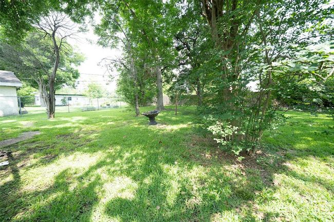 Backyard | Image 18