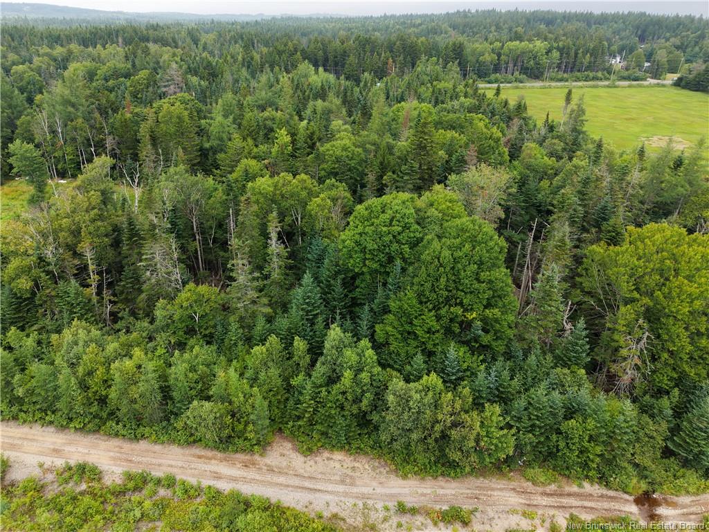 Land in Pennfield 3
