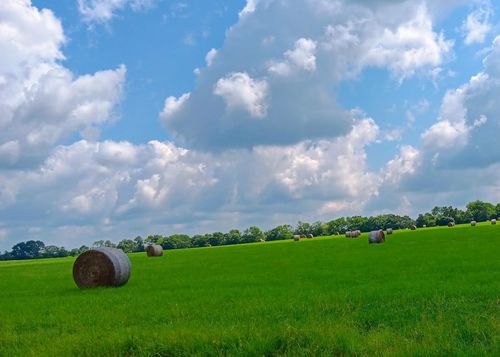 TRACT 24 Fm 2915, Lovelady, TX, 75851 | Card Image