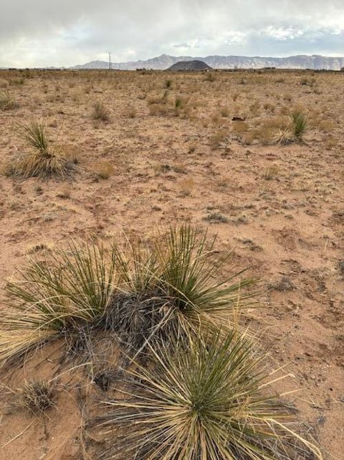 11 Aguilar Ave, Veguita, NM, 87062-7656 | Card Image