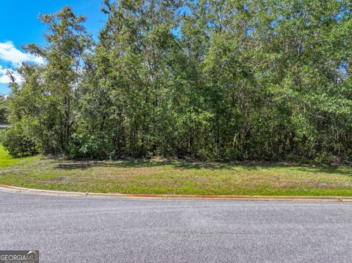 0 Bice Ct, Waverly, GA, 31565 | Card Image