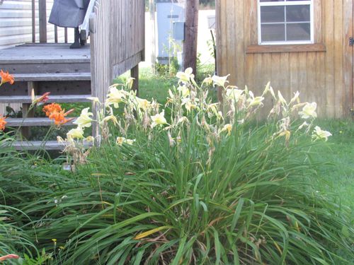 lot-c11-2477 Us Route 5, Derby, VT, 05829-4438 | Card Image