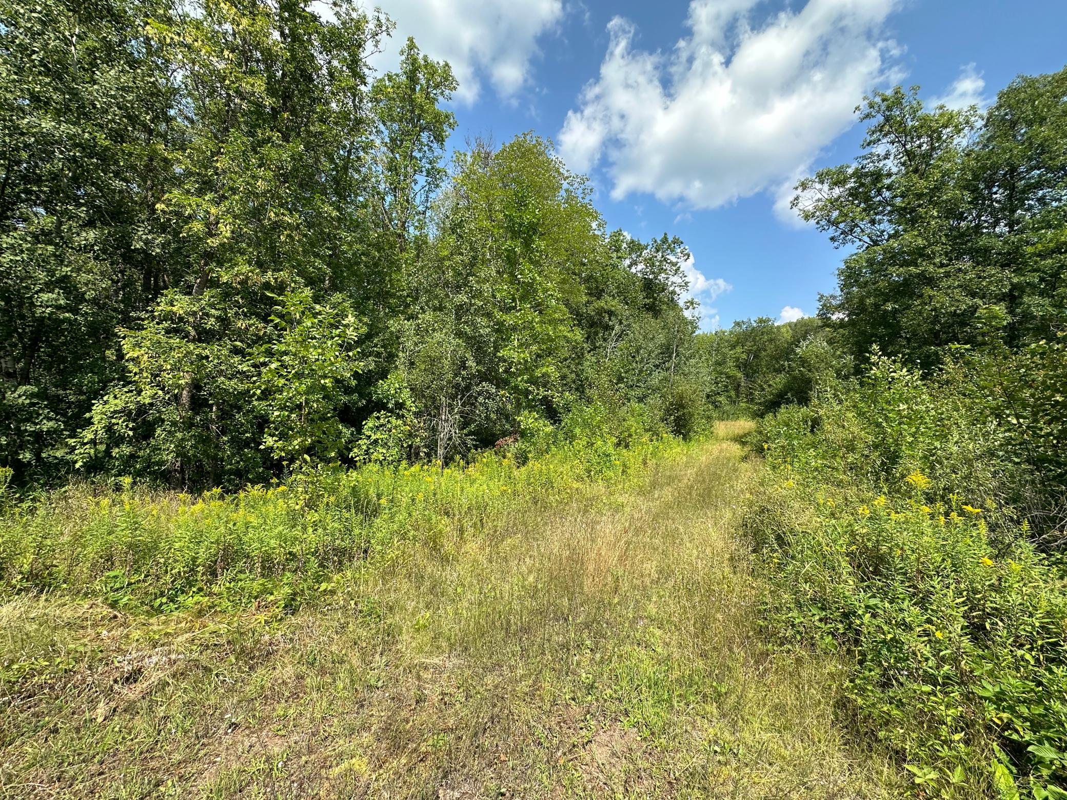 United Country Ct, Sandstone, MN 55072