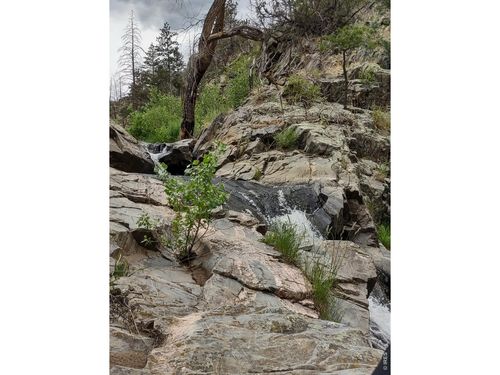 439 Redtail Ridge Way, Bellvue, CO, 80512-6005 | Card Image