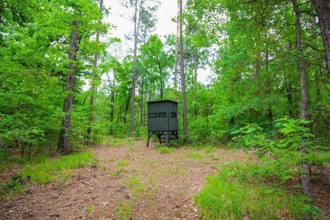 000 Fm 1794 E, Home with 0 bedrooms, 0 bathrooms and null parking in De Berry TX | Image 15