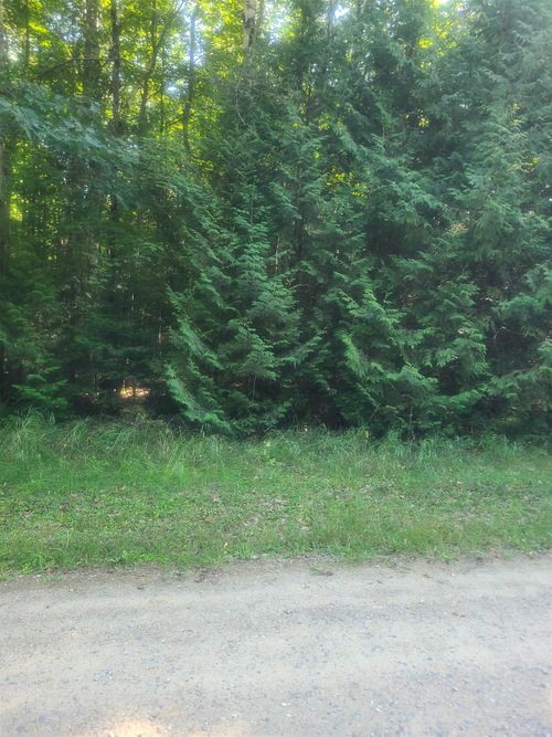 00 Birchwood Trl, Oscoda, MI, 48750 | Card Image