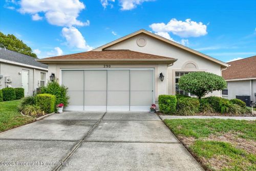 290 Quane Ave, SPRING HILL, FL, 34609-0207 | Card Image