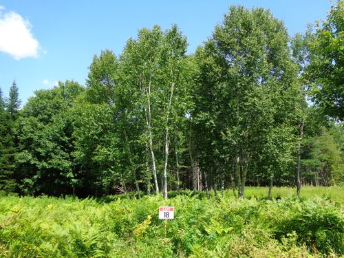 Lot 18 Bailey Mountain Dr, Franklin, ME, 04634 | Card Image