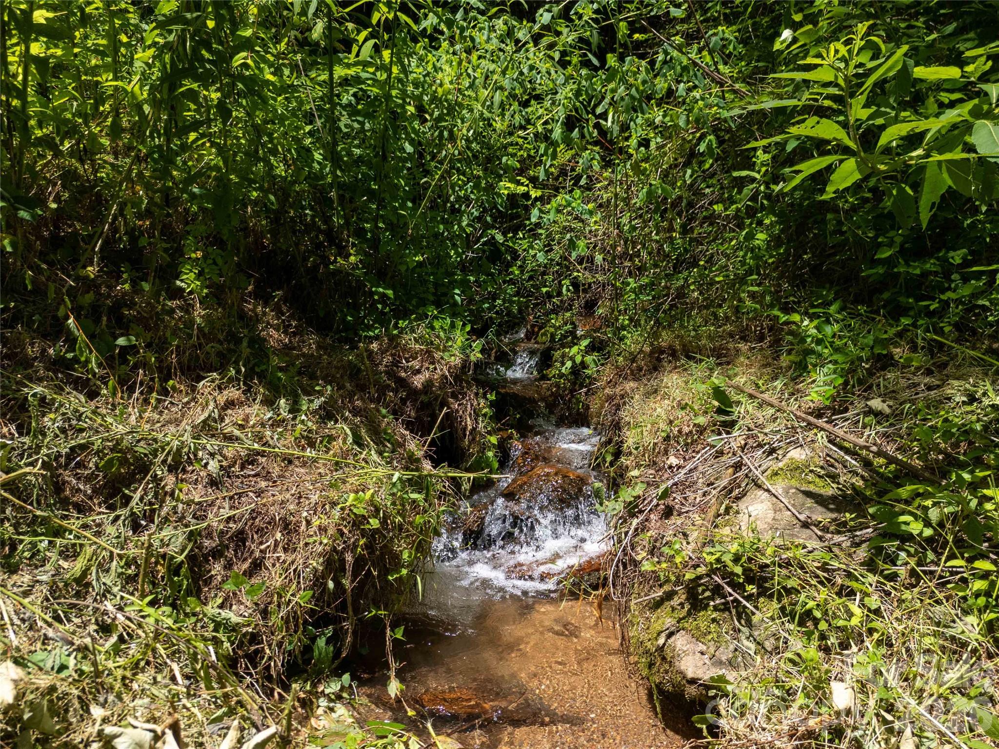Land in Sylva 5