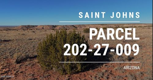 --150 150 County Road N6100 --, St Johns, AZ, 85936 | Card Image