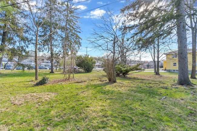 View of green lawn | Image 46