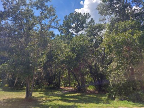 0 Finally Rd, Plant City, FL, 33565 | Card Image