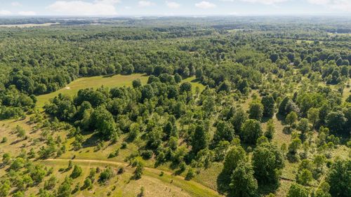 Parcels D Irvin Road, Mayfield Township, MI, 49649 | Card Image