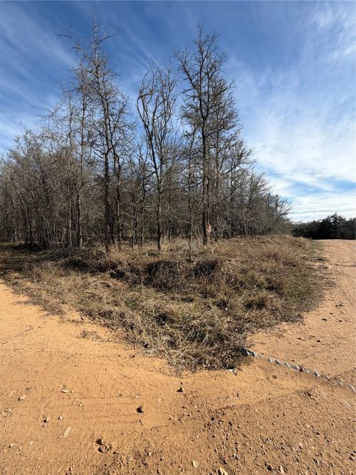 1006 Diamond Head Drive, Bastrop, TX, 78602 | Card Image