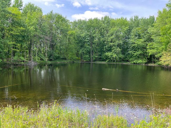 789 7 Th St, House other with 3 bedrooms, 1 bathrooms and null parking in Plainwell MI | Image 15