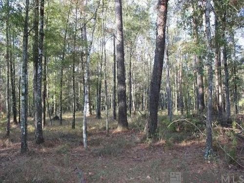 28545 Coker Vail Rd, Holden, LA, 70744-5325 | Card Image