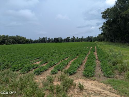 0 Highway 71, Malone, FL, 32445 | Card Image