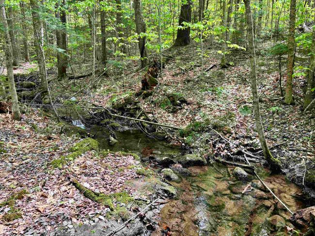0 Snell Rd, Home with 0 bedrooms, 0 bathrooms and null parking in Chester VT | Image 11