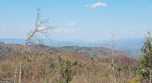 Tbd Walnut Mountain Rd, Roan Mountain, TN, 37687 | Card Image
