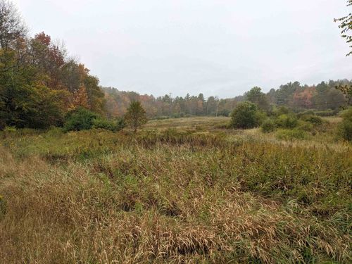 461 Wilmouth Hill Rd, Shrewsbury, VT, 05738 | Card Image
