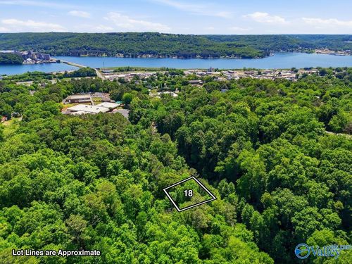 Lot 18 Lusk St, Guntersville, AL, 35976 | Card Image