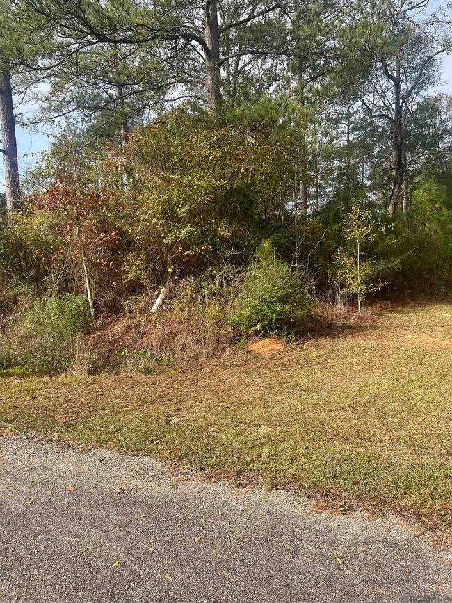 lot 26 Bo Derrick Dr, Home with 0 bedrooms, 0 bathrooms and null parking in Jackson LA | Image 5