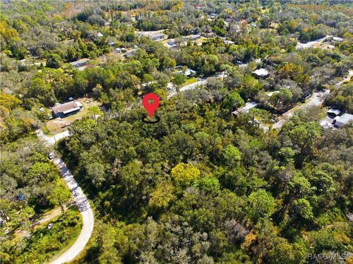 000 Shalimar St, New Port Richey, FL, 34654 | Card Image