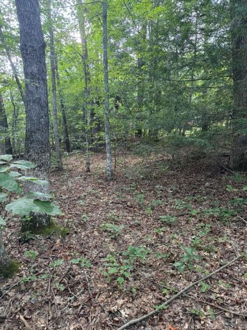 0 Cumberland Lakes Dr, Monterey, TN, 38574 | Card Image