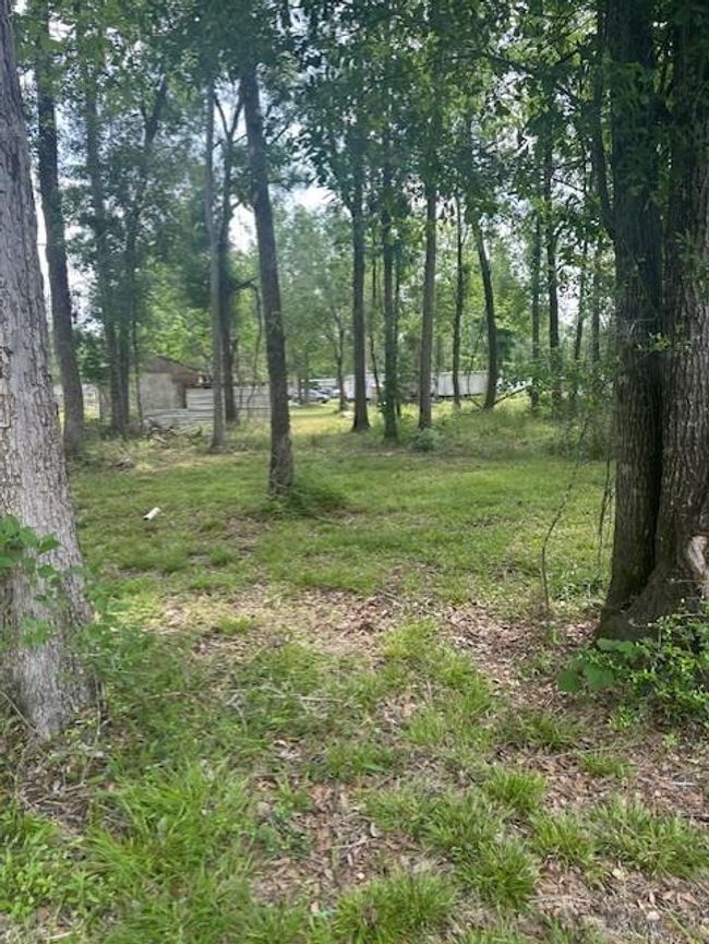 365 Kinsman Rd, Home with 0 bedrooms, 0 bathrooms and null parking in Cleveland TX | Image 6