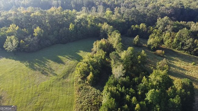5773 Post Rd, Home with 0 bedrooms, 0 bathrooms and null parking in MONTICELLO GA | Image 38