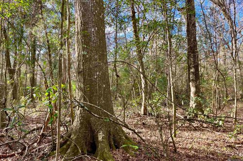 20 Lillian Ln, Ethel, LA, 70730 | Card Image