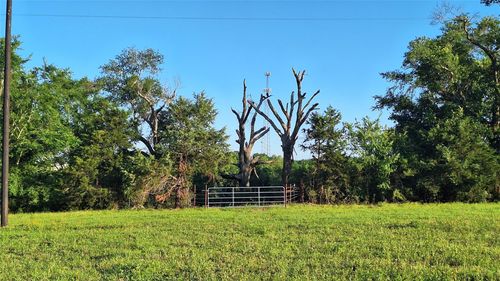 18155 Wellman Rd, Washington, TX, 77880 | Card Image