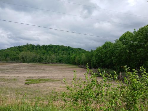 Track D Brad Petrey Road, Waynesburg, KY, 40489 | Card Image