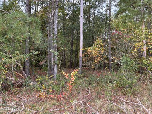 Lot 1 Midway Road, Rowland, NC, 28383 | Card Image