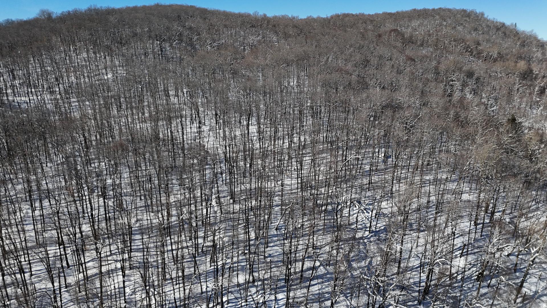 Land in Lac-Supérieur 5