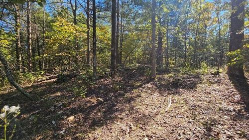 000 Rolling Hills Block 11 Lot 22, Theodosia, MO, 65761 | Card Image