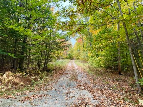 20 Kittridge Brook Rd, West Paris, ME, 04289-5517 | Card Image