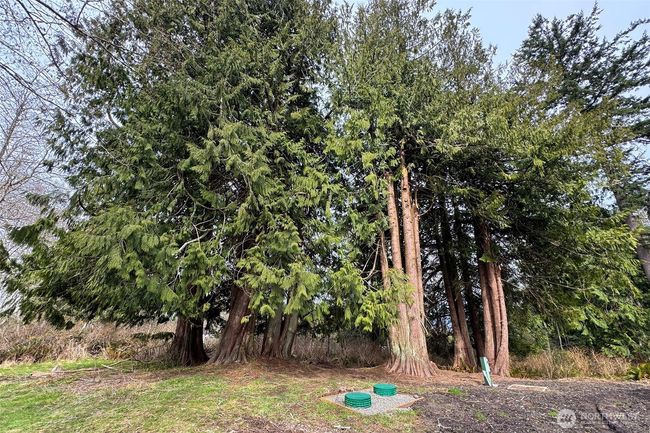 15 Green Belt Dr, House other with 2 bedrooms, 2 bathrooms and null parking in Port Angeles WA | Image 23