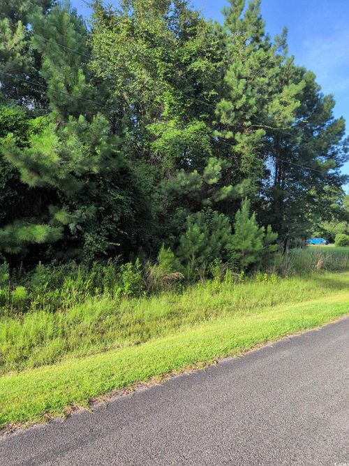 TBD Pecan Ln, Conway, SC, 29526 | Card Image