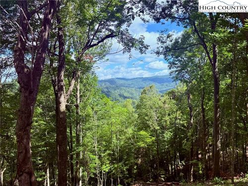 190 Raspberry Ln, Elk Park, NC, 28622 | Card Image
