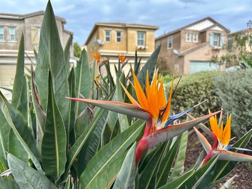 1132 Cherry Tree Ln, Vista, CA, 92084-2412 | Card Image