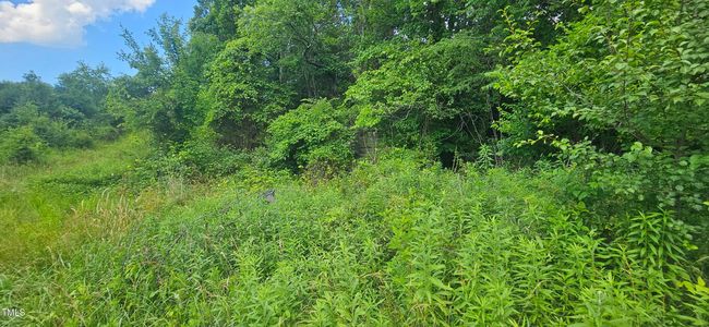 20240613_151302 | Image 22