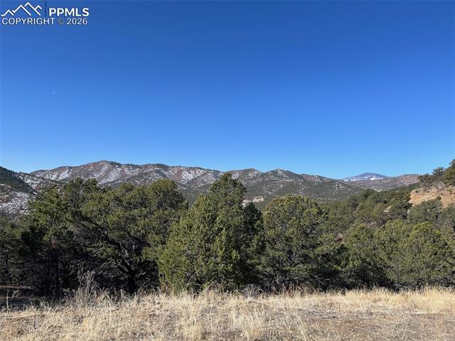 Land in Canon City 3